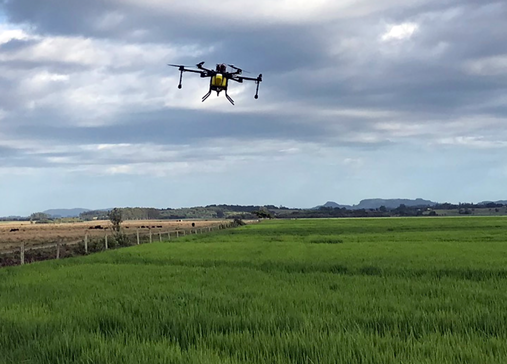 Drone Agrícola em lavoura de arroz